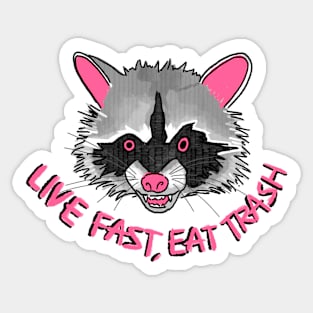 Live fast raccoon (pink) Sticker